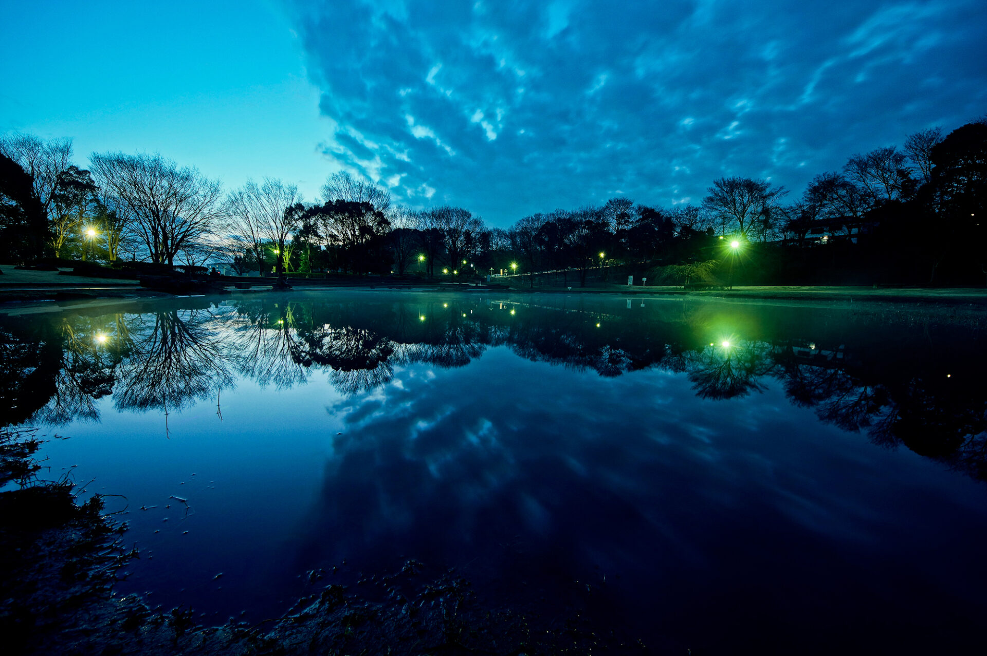 金山緑地公園