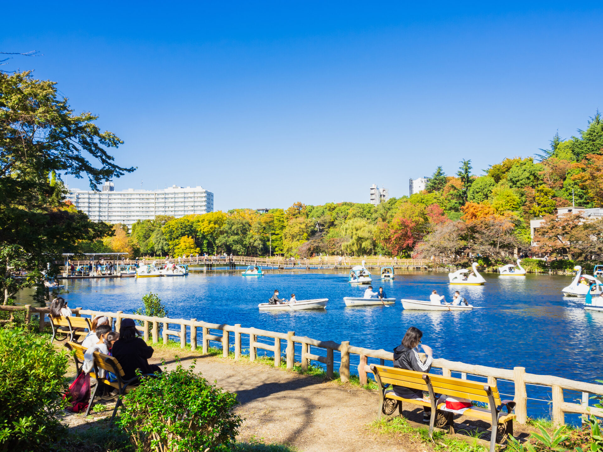 井の頭公園